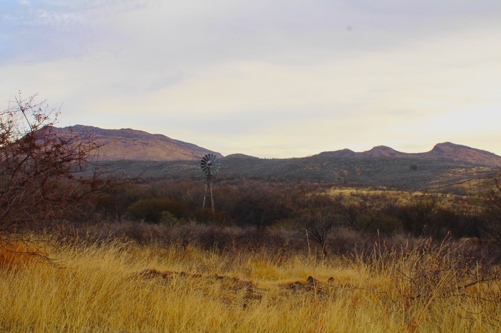 Rancho de Rosas, Santa Isabel